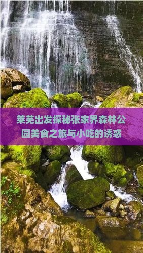 莱芜出发探秘张家界森林公园美食之旅与小吃的诱惑