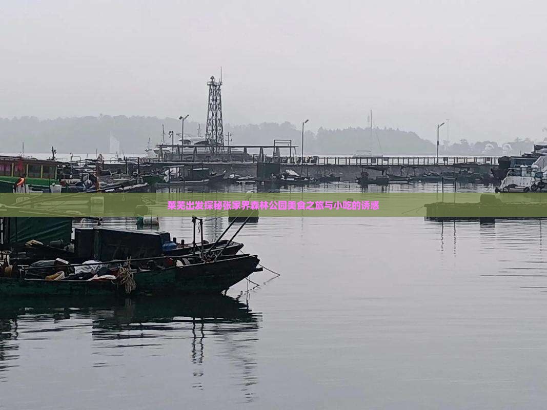 莱芜出发探秘张家界森林公园美食之旅与小吃的诱惑