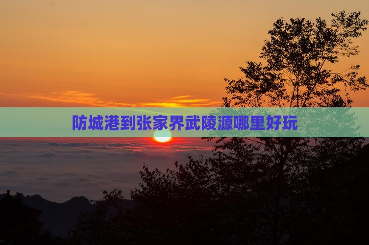 防城港到张家界武陵源哪里好玩