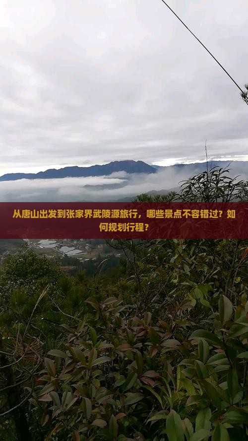 从唐山出发到张家界武陵源旅行，哪些景点不容错过？如何规划行程？