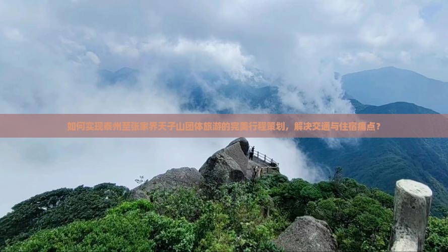 如何实现泰州至张家界天子山团体旅游的完美行程策划，解决交通与住宿痛点？