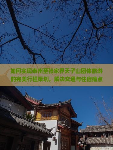如何实现泰州至张家界天子山团体旅游的完美行程策划，解决交通与住宿痛点？