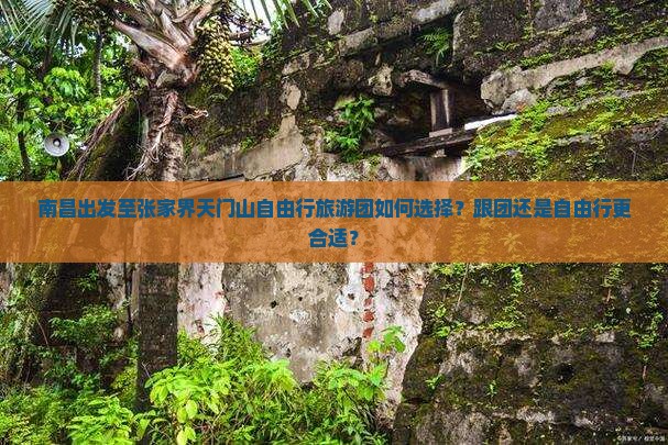 南昌出发至张家界天门山自由行旅游团如何选择？跟团还是自由行更合适？