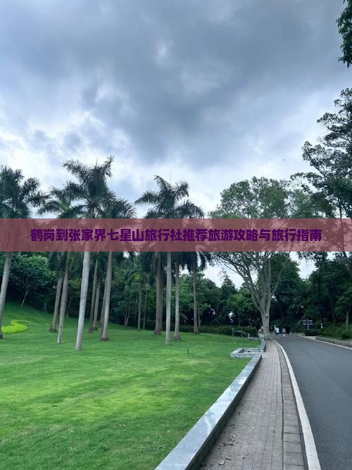 鹤岗到张家界七星山旅行社推荐旅游攻略与旅行指南