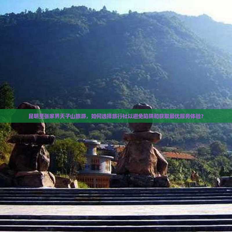 昆明至张家界天子山旅游，如何选择旅行社以避免陷阱和获取最优服务体验？