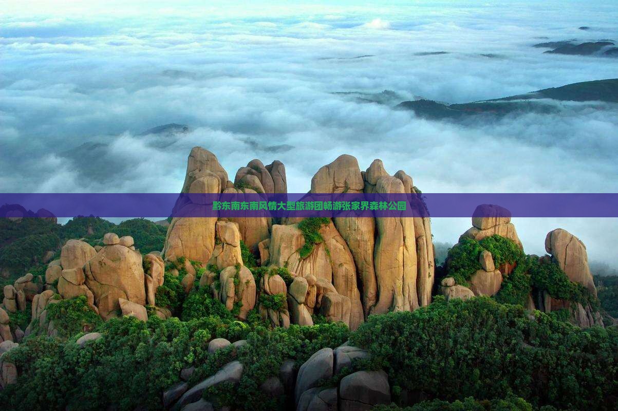黔东南东南风情大型旅游团畅游张家界森林公园