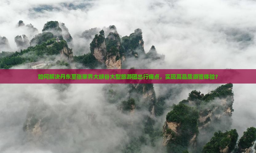 如何解决丹东至张家界大峡谷大型旅游团出行痛点，实现高品质游览体验？