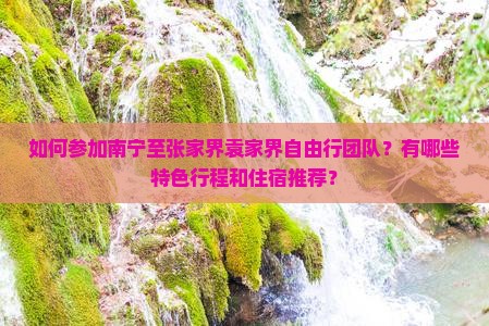 如何参加南宁至张家界袁家界自由行团队？有哪些特色行程和住宿推荐？