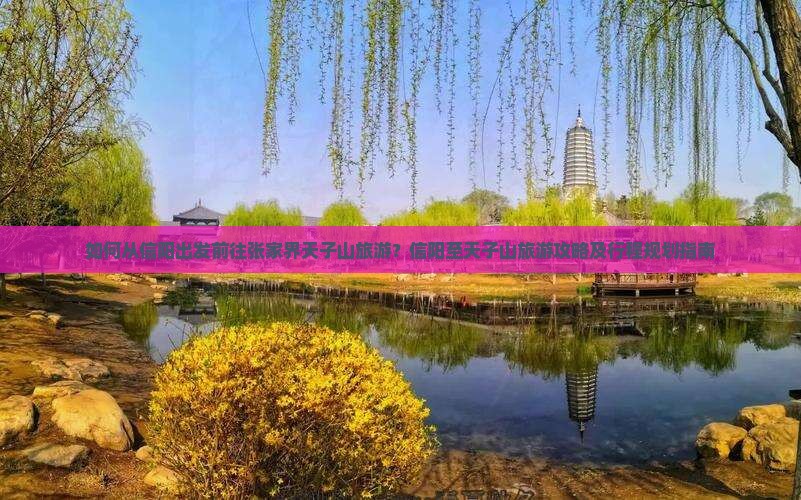 如何从信阳出发前往张家界天子山旅游？信阳至天子山旅游攻略及行程规划指南