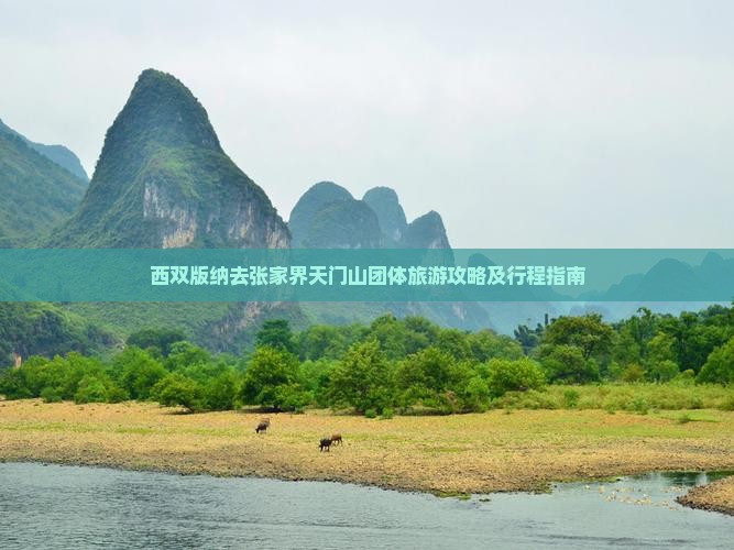 西双版纳去张家界天门山团体旅游攻略及行程指南