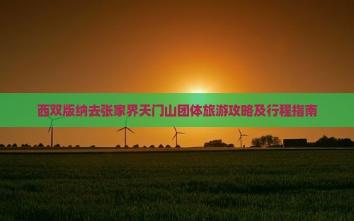西双版纳去张家界天门山团体旅游攻略及行程指南