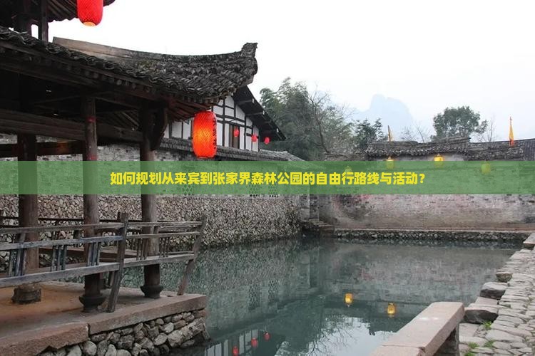 如何规划从来宾到张家界森林公园的自由行路线与活动？