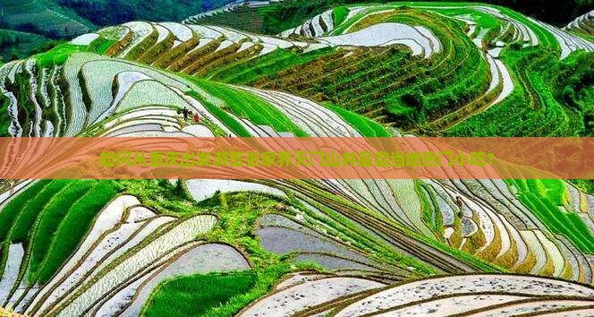 如何从重庆出发游览张家界天门山并品尝当地热门小吃？