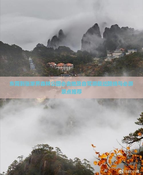 东莞到张家界森林公园必去地及自驾游最近路线与必游景点推荐
