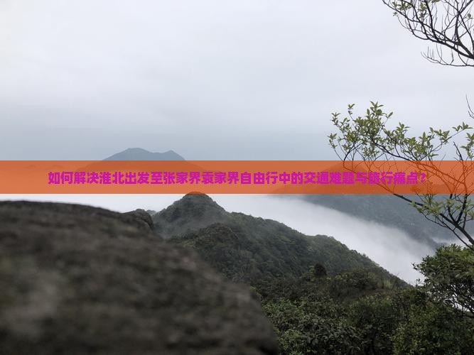 如何解决淮北出发至张家界袁家界自由行中的交通难题与旅行痛点？