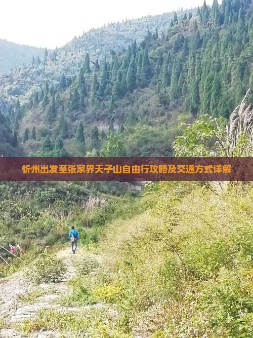 忻州出发至张家界天子山自由行攻略及交通方式详解