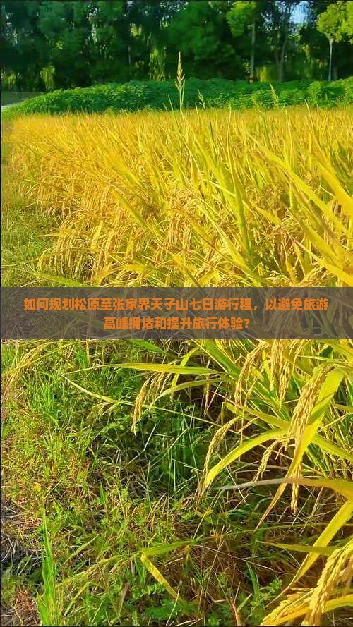 如何规划松原至张家界天子山七日游行程，以避免旅游高峰拥堵和提升旅行体验？