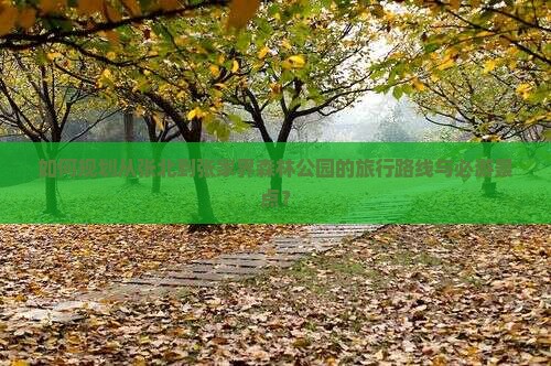 如何规划从张北到张家界森林公园的旅行路线与必游景点？