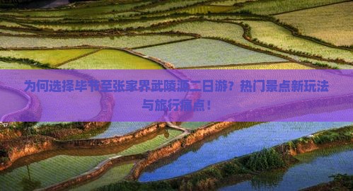 为何选择毕节至张家界武陵源二日游？热门景点新玩法与旅行痛点！