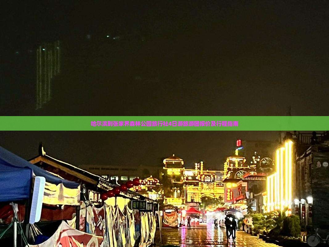 哈尔滨到张家界森林公园旅行社4日游旅游团报价及行程指南