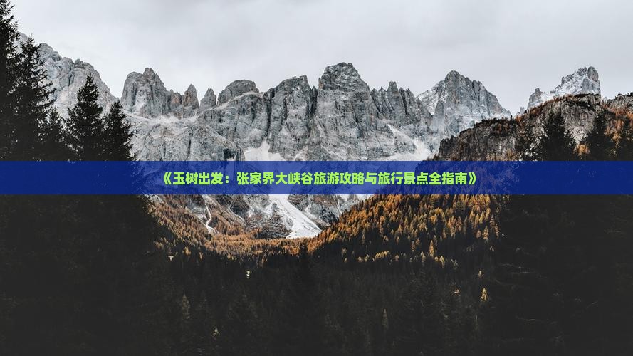 《玉树出发：张家界大峡谷旅游攻略与旅行景点全指南》
