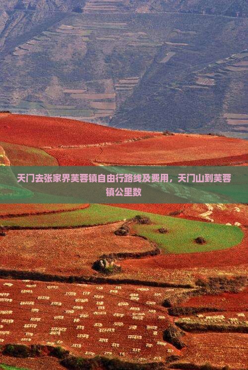 天门去张家界芙蓉镇自由行路线及费用，天门山到芙蓉镇公里数