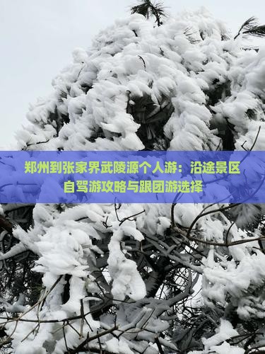 郑州到张家界武陵源个人游：沿途景区自驾游攻略与跟团游选择