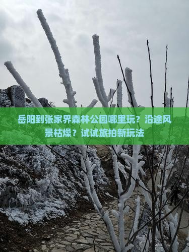 岳阳到张家界森林公园哪里玩？沿途风景枯燥？试试旅拍新玩法