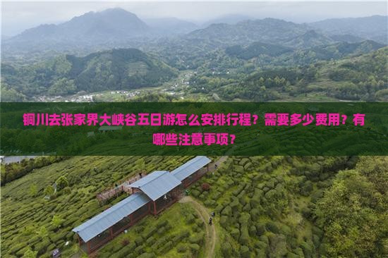 铜川去张家界大峡谷五日游怎么安排行程？需要多少费用？有哪些注意事项？