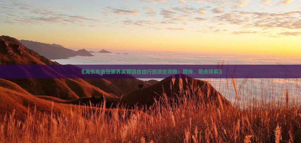 《海东东去张家界芙蓉镇自由行旅游全攻略：路线、景点详解》
