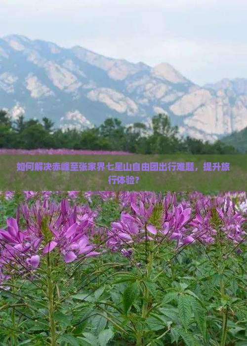 如何解决赤峰至张家界七星山自由团出行难题，提升旅行体验？