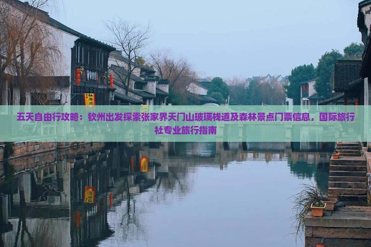 五天自由行攻略：钦州出发探索张家界天门山玻璃栈道及森林景点门票信息，国际旅行社专业旅行指南