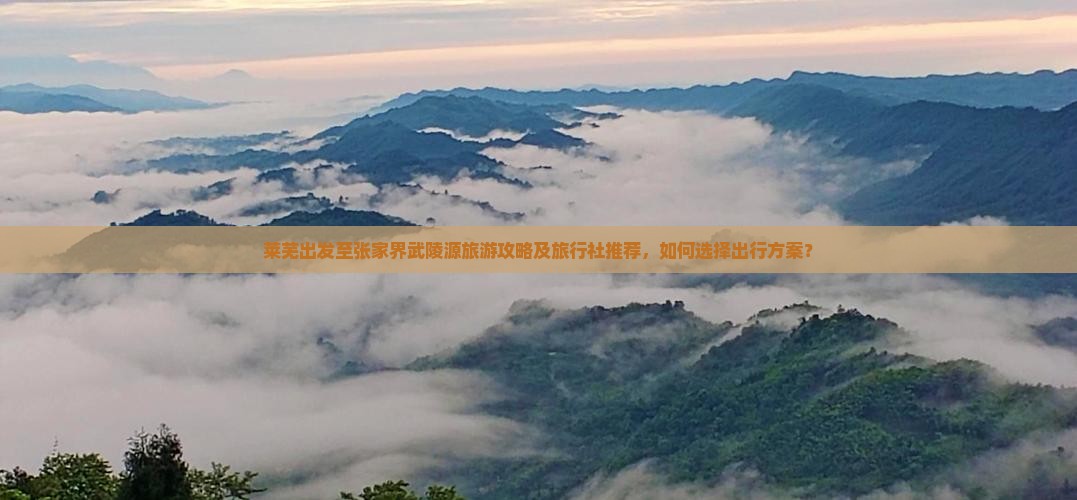莱芜出发至张家界武陵源旅游攻略及旅行社推荐，如何选择出行方案？