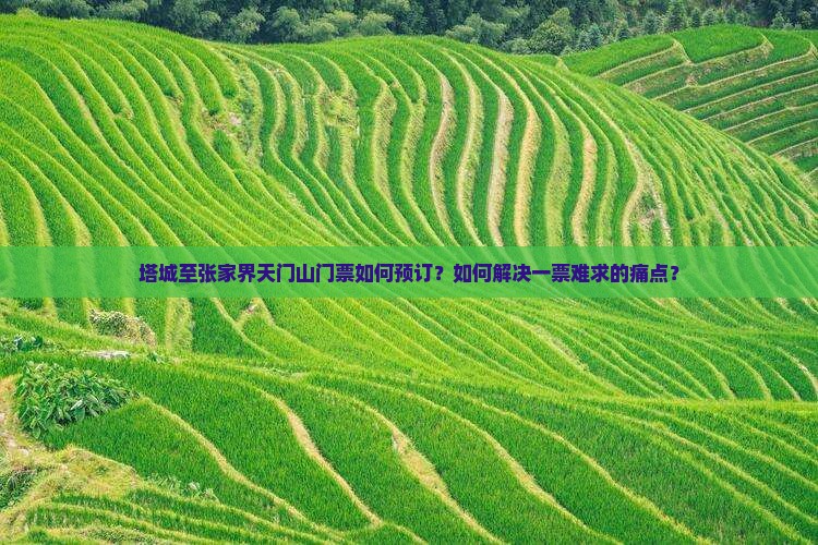 塔城至张家界天门山门票如何预订？如何解决一票难求的痛点？