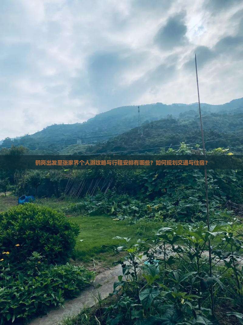 鹤岗出发至张家界个人游攻略与行程安排有哪些？如何规划交通与住宿？