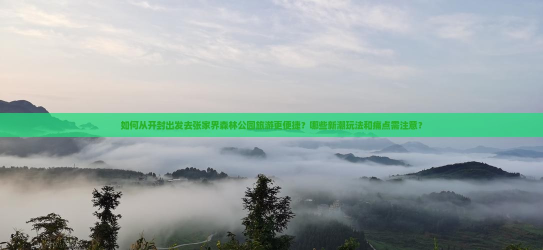 如何从开封出发去张家界森林公园旅游更便捷？哪些新潮玩法和痛点需注意？