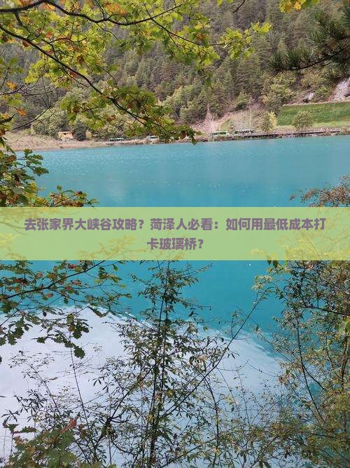 去张家界大峡谷攻略？菏泽人必看：如何用最低成本打卡玻璃桥？