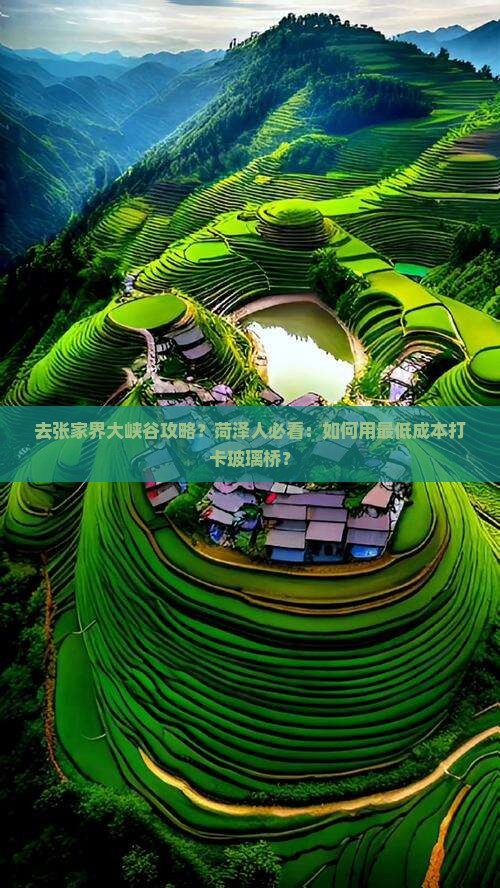 去张家界大峡谷攻略？菏泽人必看：如何用最低成本打卡玻璃桥？