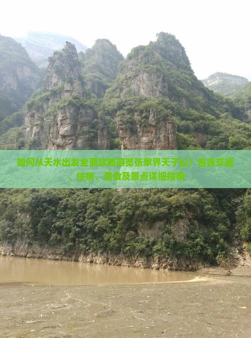 如何从天水出发全面攻略游览张家界天子山？包含交通、住宿、美食及景点详细指南