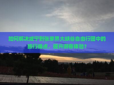 如何解决咸宁到张家界大峡谷自由行团中的旅行痛点，提升游客体验？