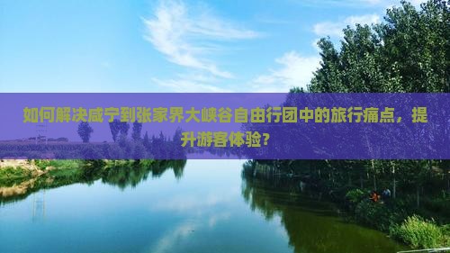 如何解决咸宁到张家界大峡谷自由行团中的旅行痛点，提升游客体验？