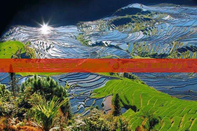 吉林到张家界七星山五日游？需要多少钱？怎么安排行程？需要注意什么？