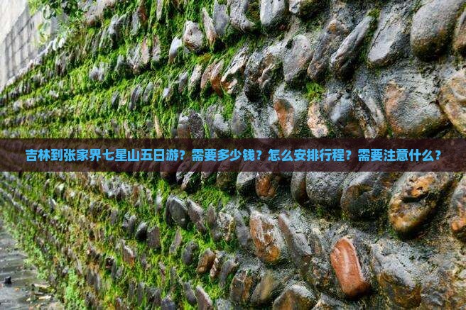 吉林到张家界七星山五日游？需要多少钱？怎么安排行程？需要注意什么？
