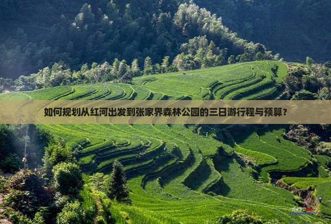 如何规划从红河出发到张家界森林公园的三日游行程与预算？