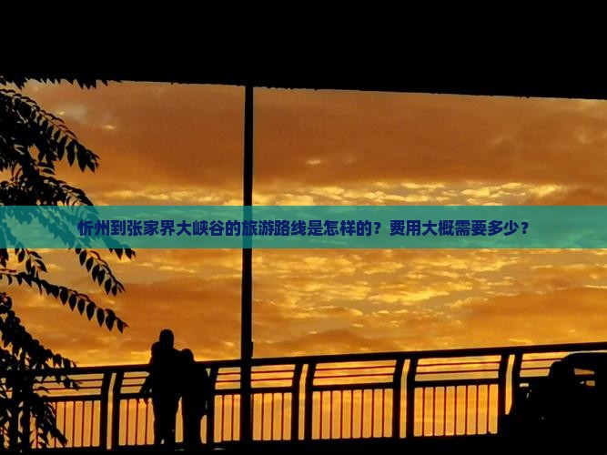 忻州到张家界大峡谷的旅游路线是怎样的？费用大概需要多少？