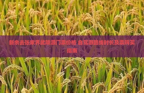 新余去张家界武陵源门票价格+自驾游路线时长及票购买指南