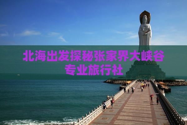 北海出发探秘张家界大峡谷专业旅行社