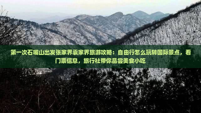 第一次石嘴山出发张家界袁家界旅游攻略：自由行怎么玩转国际景点，看门票信息，旅行社带你品尝美食小吃