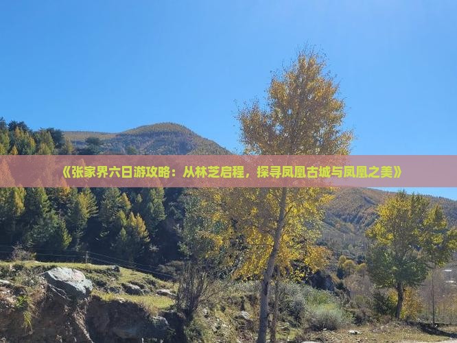 《张家界六日游攻略：从林芝启程，探寻凤凰古城与凤凰之美》