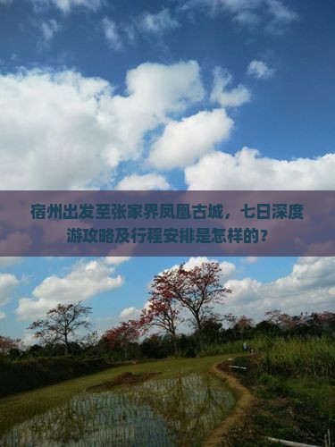 宿州出发至张家界凤凰古城，七日深度游攻略及行程安排是怎样的？